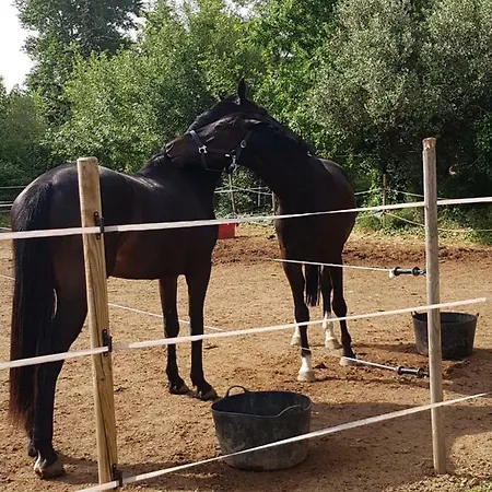 Haras Des Arcades 빌라
