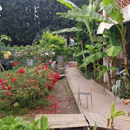 Haras Des Arcades 페르피냥